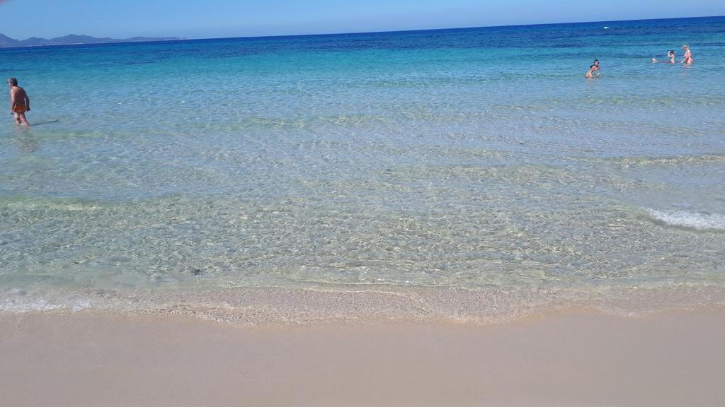 Brezza Di Mare Appartamento In Villa Con Giardino E Spiaggia ,Casa Vacanze Al Mare Куарту-Сант'Елена Екстер'єр фото