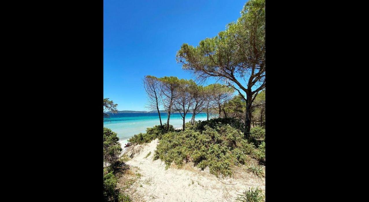 Brezza Di Mare Appartamento In Villa Con Giardino E Spiaggia ,Casa Vacanze Al Mare Куарту-Сант'Елена Екстер'єр фото